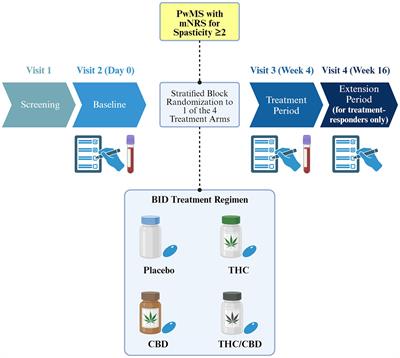 Efficacy of cannabinoids compared to the current standard treatments on symptom relief in persons with multiple sclerosis (CANSEP trial): study protocol for a randomized clinical trial